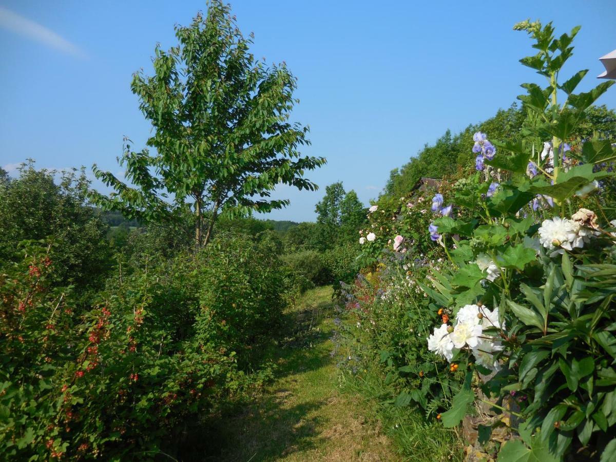 Le Ru Du Passage Villa Sart-lez-Spa Buitenkant foto